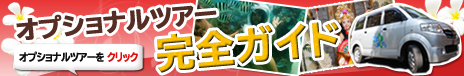 オプショナルツアー完全ガイド