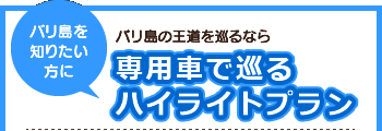 専用車で巡るハイライトプラン