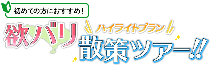 初めての方におすすめ!ハイライトプラン 欲バリ散策ツアー!!