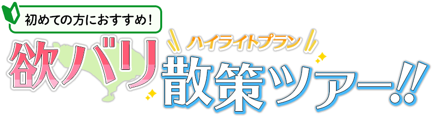 初めての方におすすめ!ハイライトプラン 欲バリ散策ツアー!!
