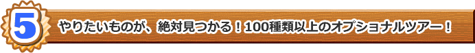 やりたいものが、絶対見つかる!100種類以上のオプショナルツアー!
