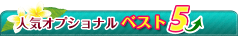 人気オプショナルベスト5