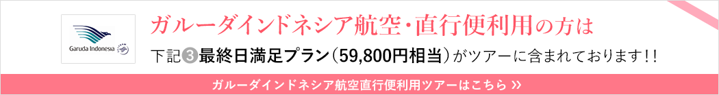 ガルーダインドネシア航空・直行便利用の方は下記B最終日満足プラン(59,800円相当)がツアーに含まれております。