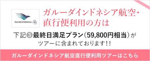 ガルーダインドネシア航空・直行便利用の方は下記B最終日満足プラン(59,800円相当)がツアーに含まれております。
