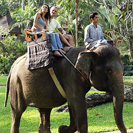 エレファントサファリ