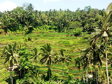 テガラランでランチ